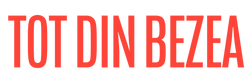 TOT DIN BEZEA